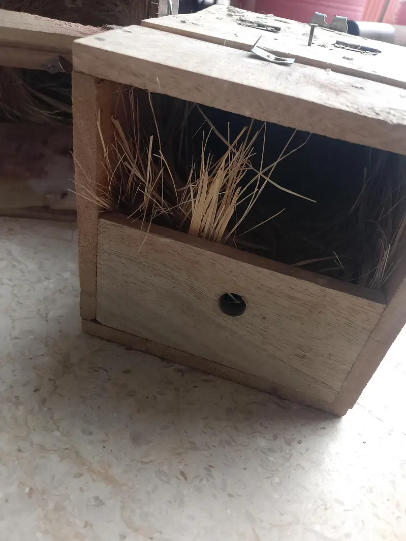 finch breeding box in wood — photo 4