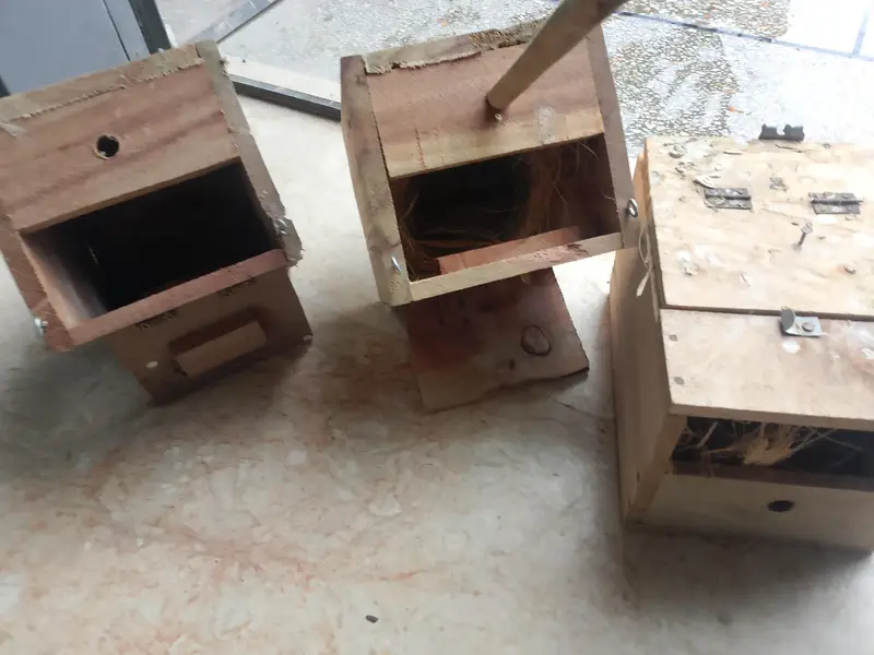 finch breeding box in wood — photo 5