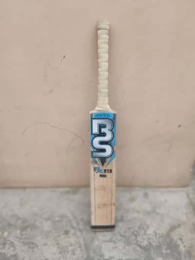 BS RX919 Bat