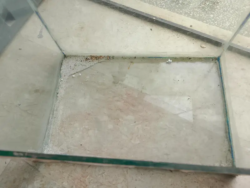 aquarium for any kind of fishes — photo 2