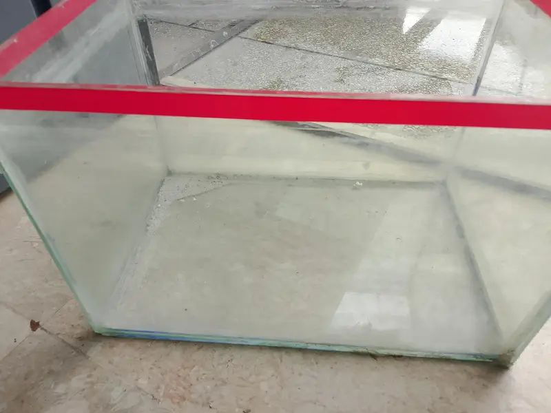 aquarium for any kind of fishes — photo 3