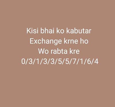 only serious buyer no time waste
