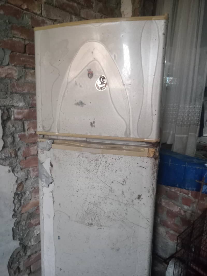 فریج ڈولنس 0