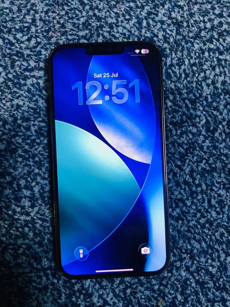 iPhone 13 Pro Max 0