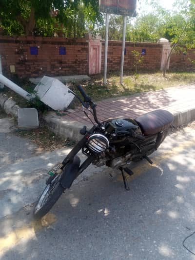 CD70 (Modified)