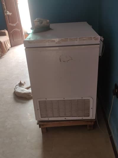 DAWLANCE/SINGLE DOOR FREEZER