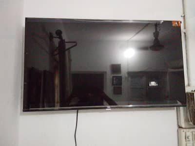 Q LED TCL