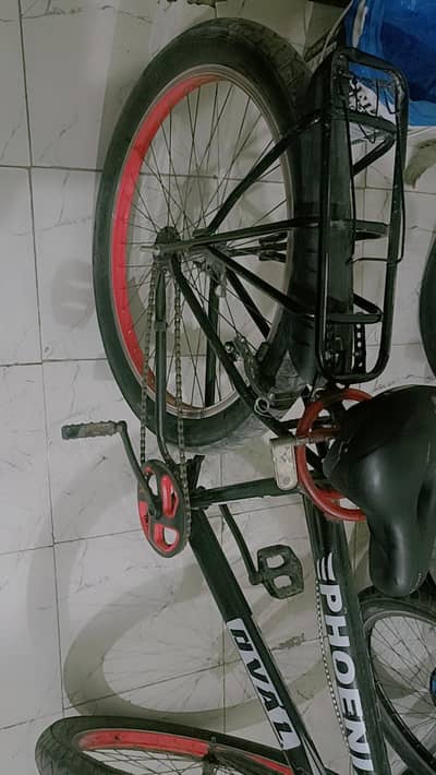 Cycle 26 inch big tyres without gear