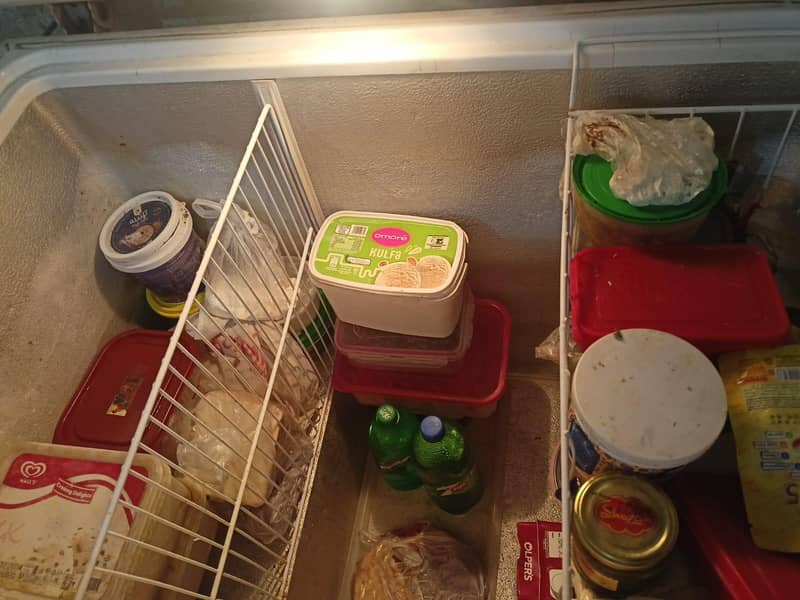 waves deep freezer 1
