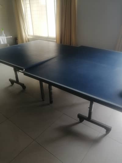 Table Tennis Table