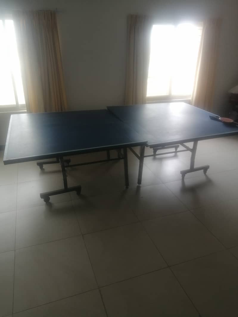 Table Tennis Table 1