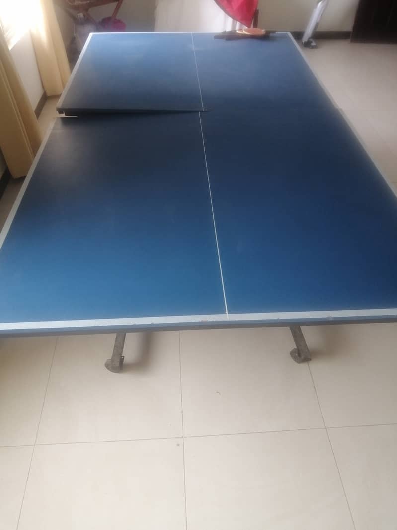 Table Tennis Table 2