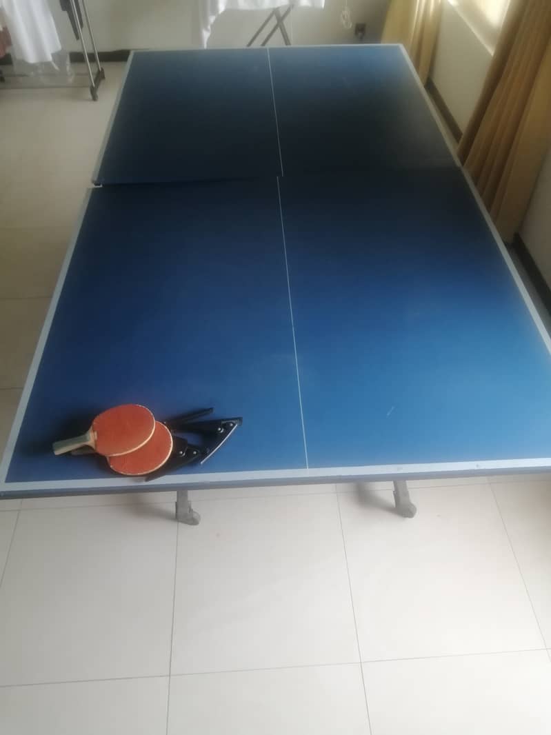 Table Tennis Table 3