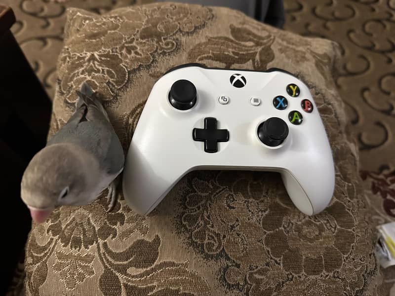 Xbox one controller 0