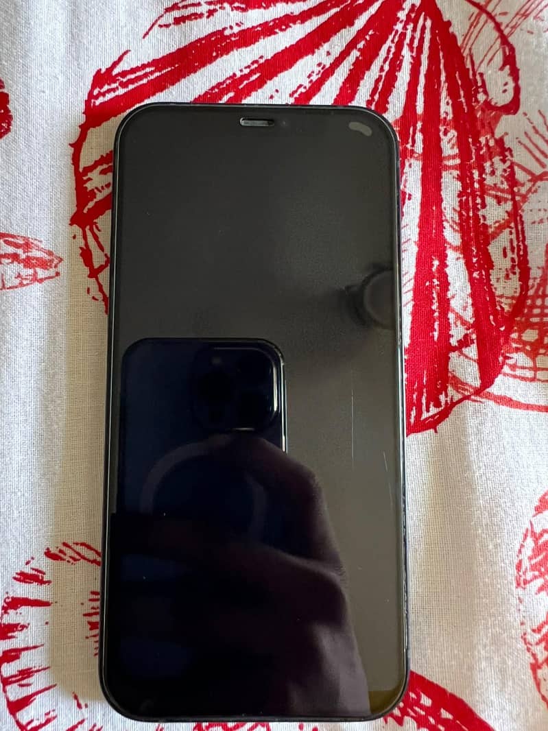 Apple iPhone 12 1
