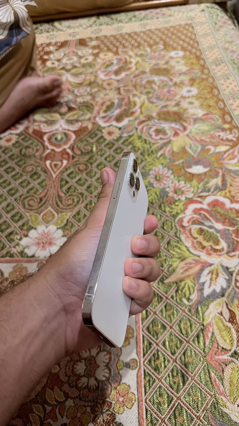 Apple iPhone 12 Pro Max 2