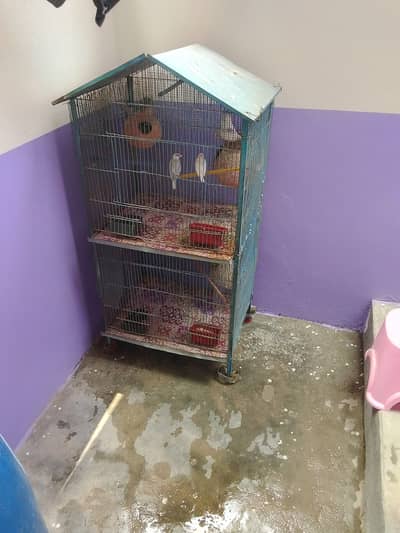 2 portion Cage with Birds
