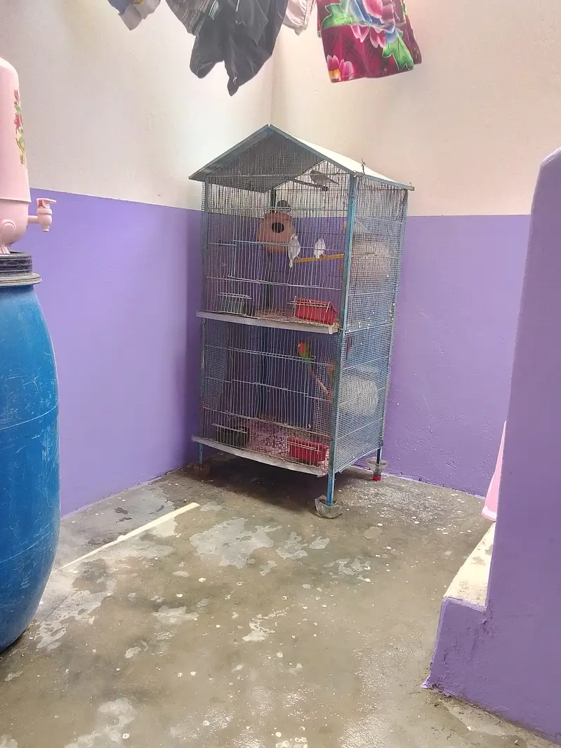 2 portion Cage with Birds — photo 4