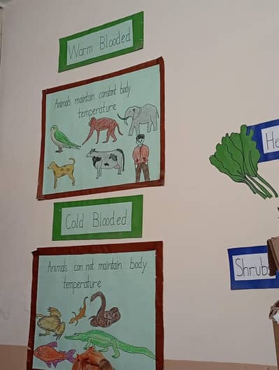 school registration and materials for sale
