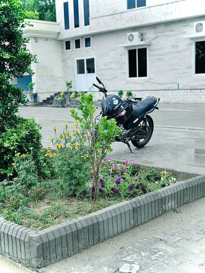 Yamaha ybr 125