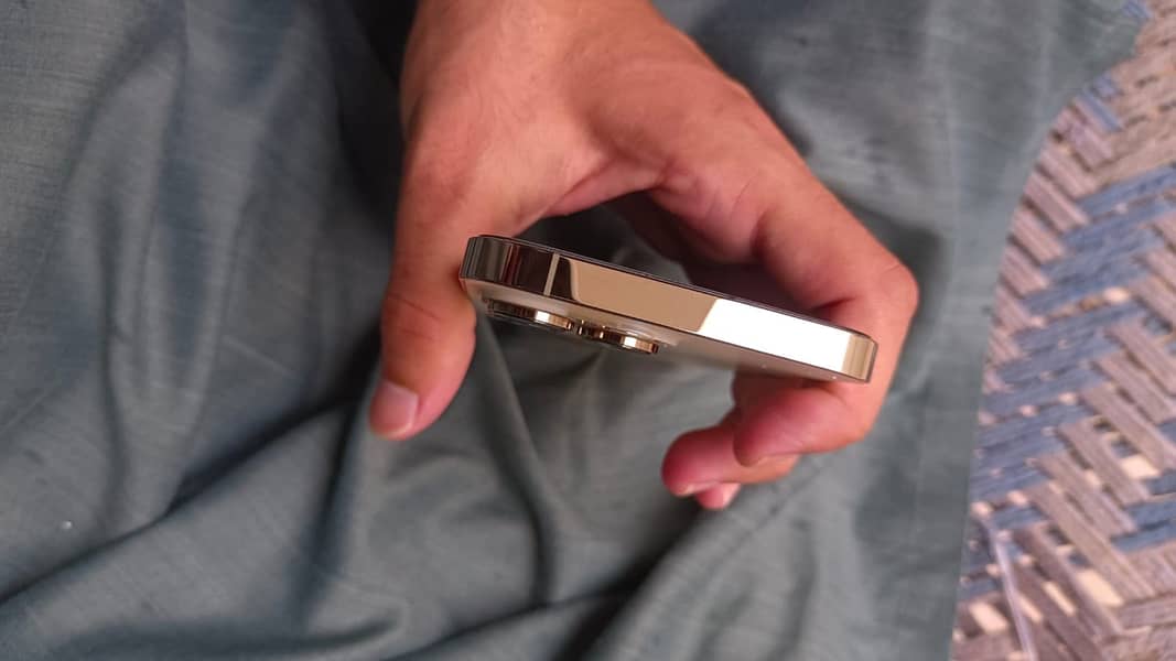 Apple iPhone 14 Pro Max 3