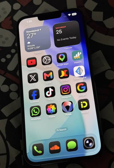 Apple iPhone 13 Pro Max