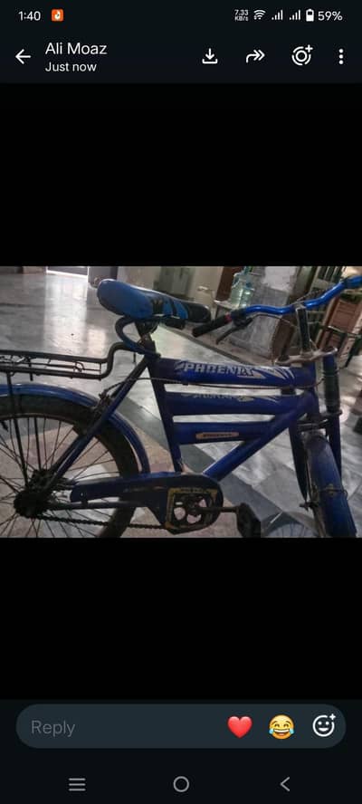 PHOENIX Bicycle