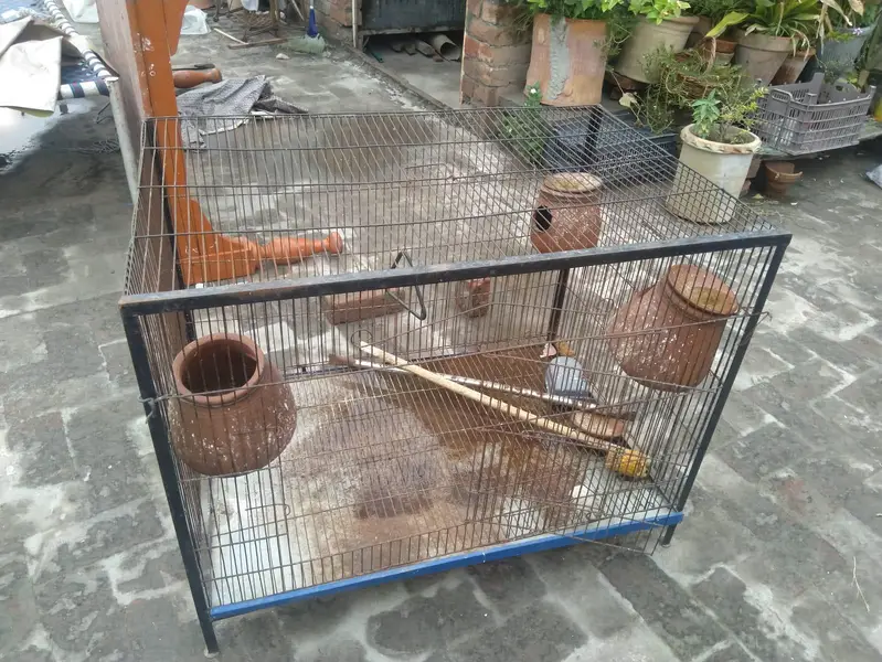 parrort cage — photo 2