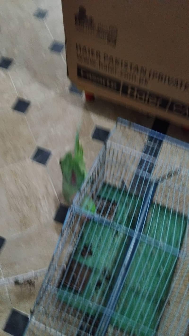 good condition 3