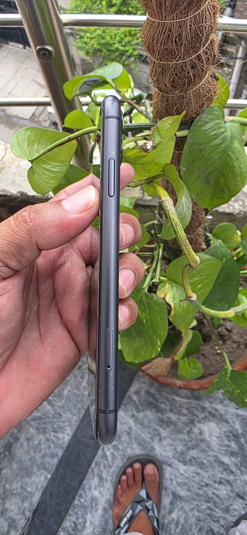 Apple iPhone 11 2