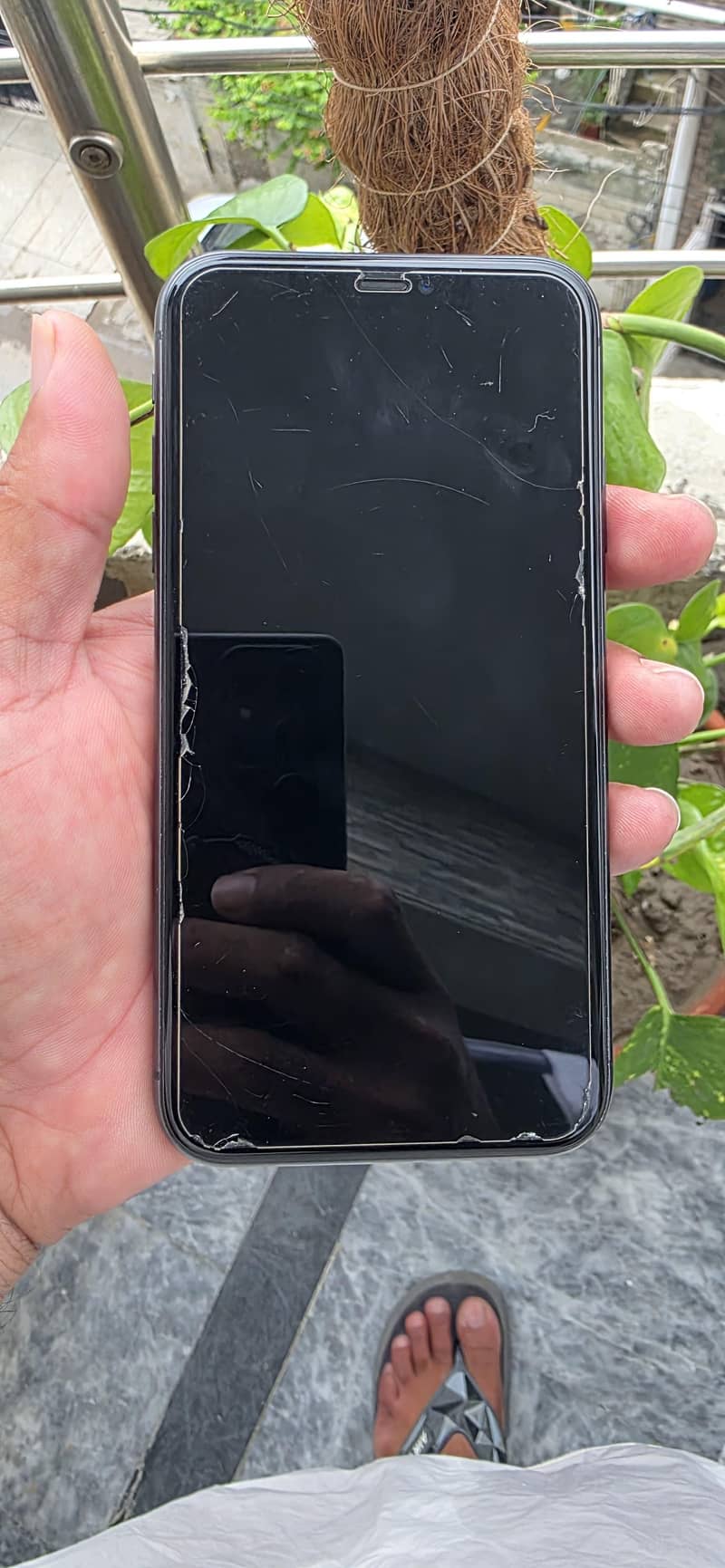Apple iPhone 11 3