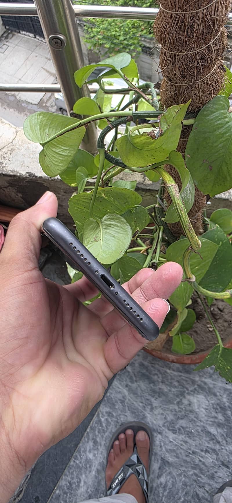 Apple iPhone 11 4
