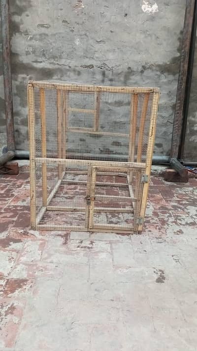 Aseel, Hen, Parrot All Type Of Birds Cage