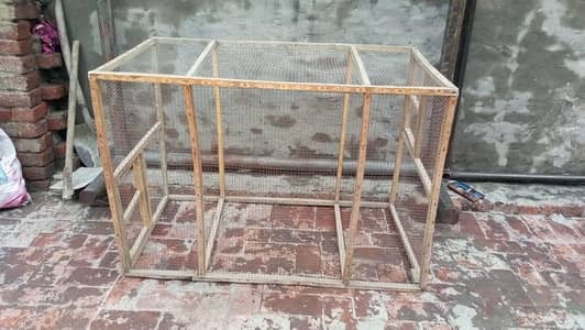 Aseel, Hen, Parrot All Type Of Birds Cage