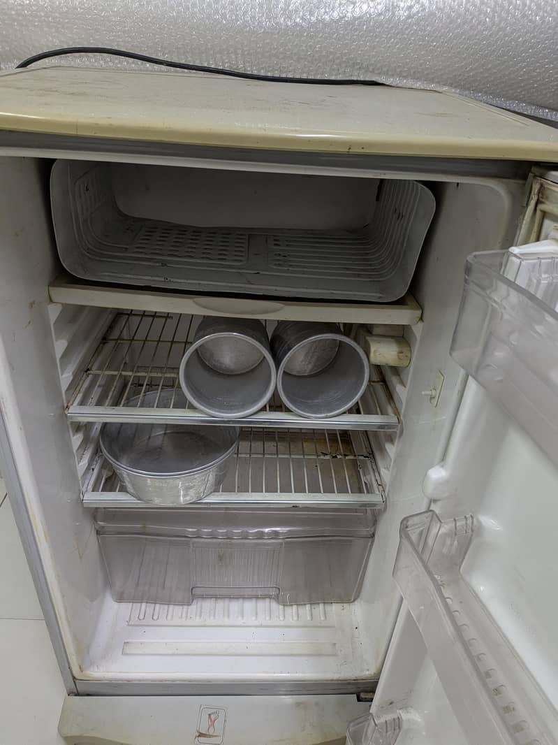 Waves fridge 1