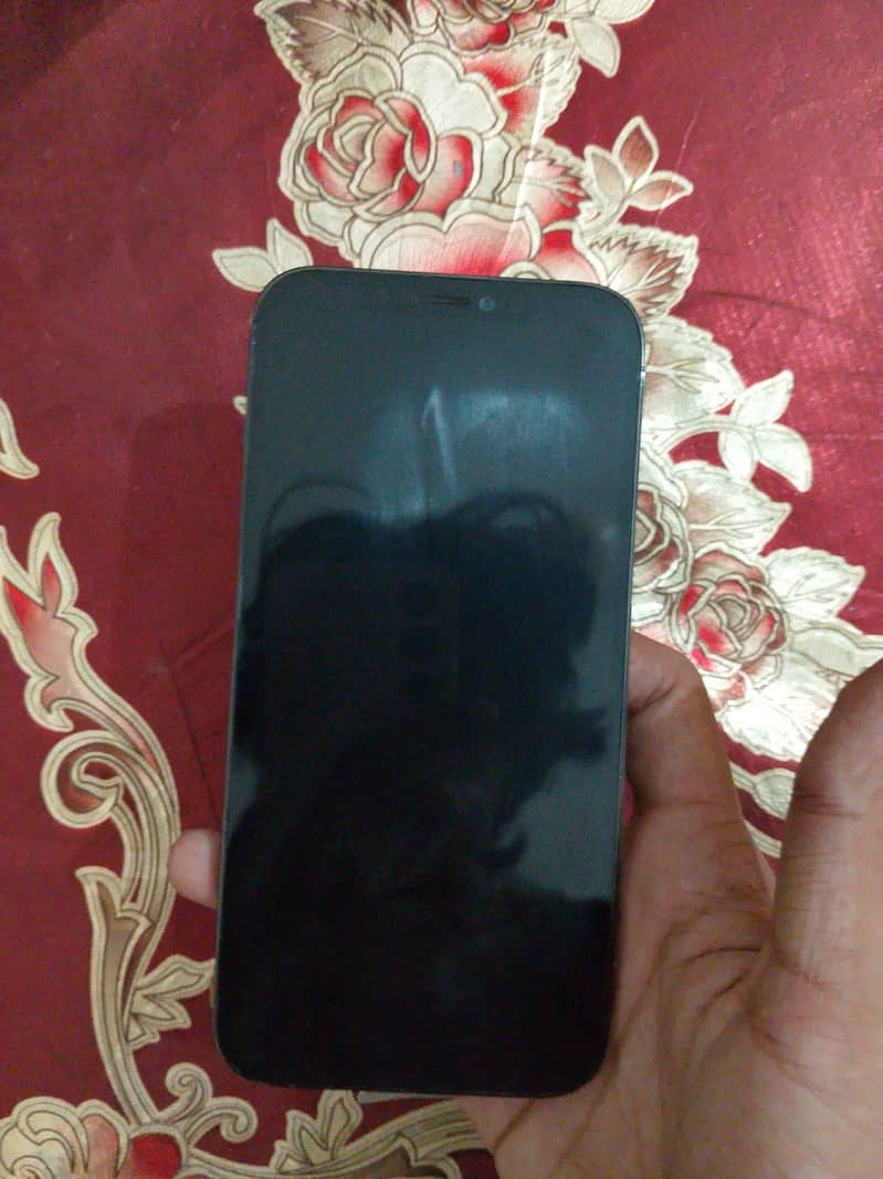 Apple iPhone 12 Pro Max 4