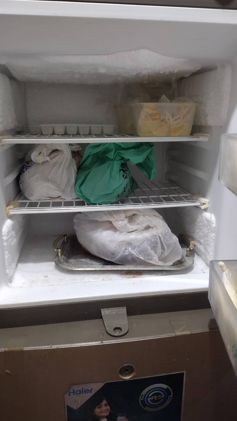 fridge 3