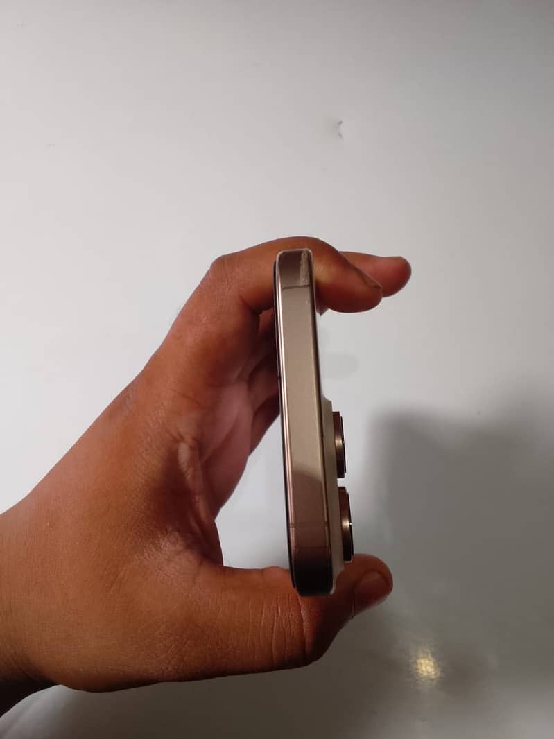 Apple iPhone 16 Pro Max 2