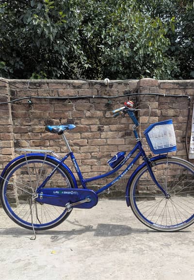 Japanese Cycle (Blue Color)