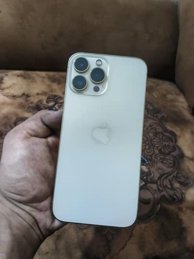 Apple iPhone 13 Pro Max