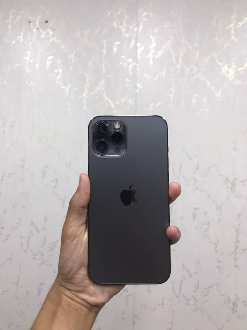 12 pro max 2
