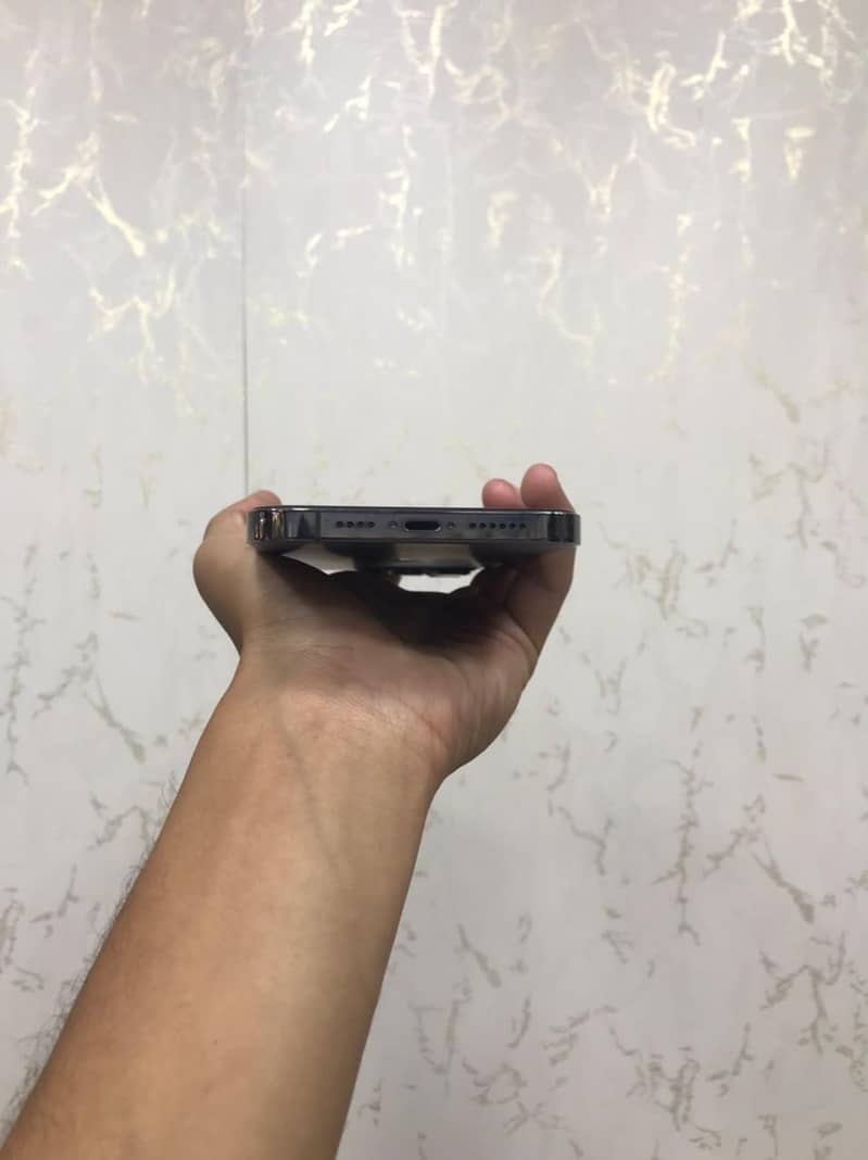 12 pro max 3