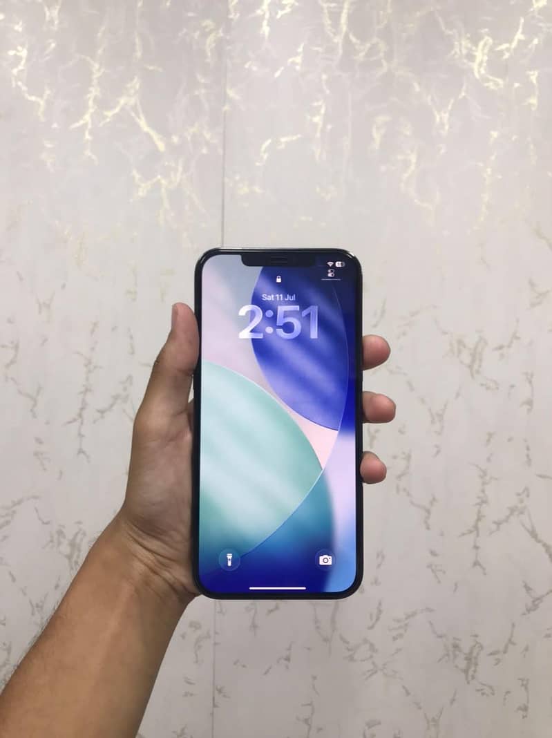 12 pro max 4