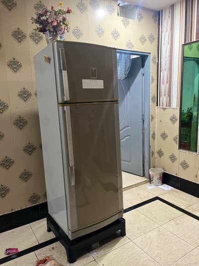 Frost Free Double Door Refrigerator 12 CFT | Excellent Condition