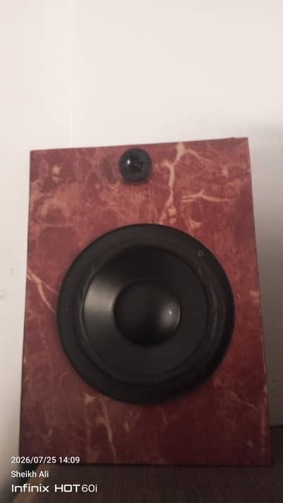 Japanese Speaker