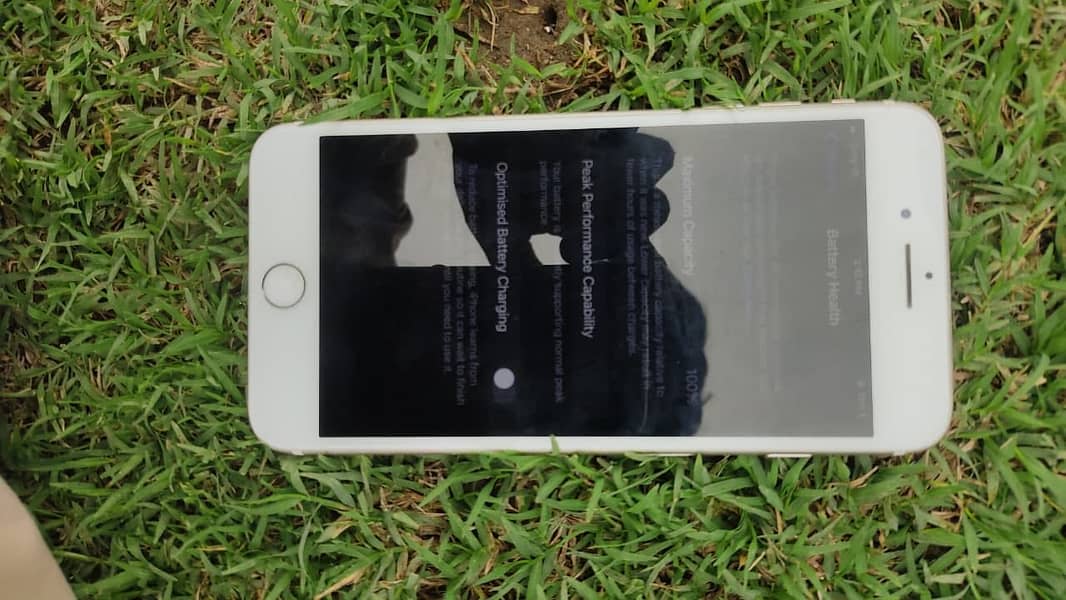 iPhone 7 Plus 7
