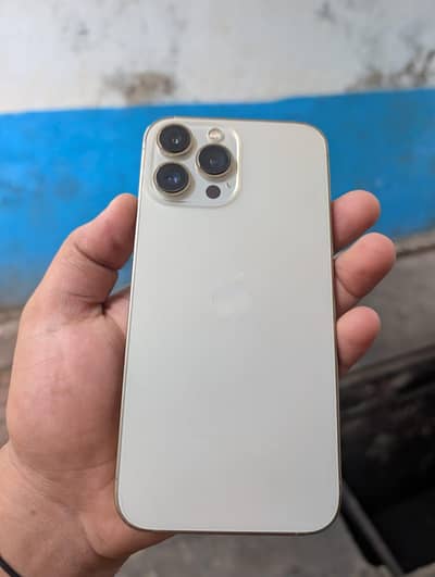 Apple iPhone 13 Pro Max