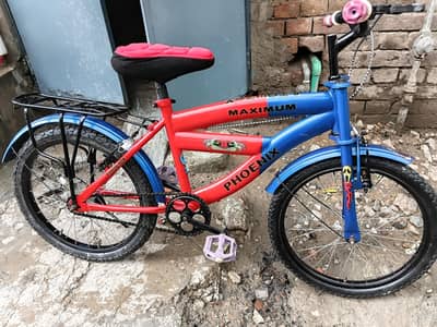 20 inch importan bicycle