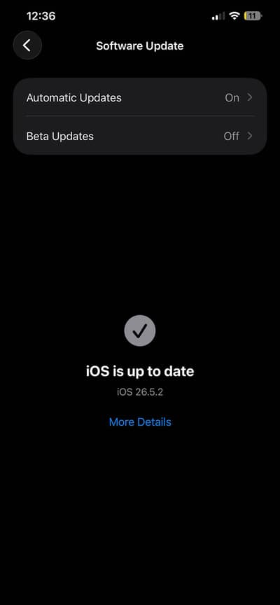 Apple iPhone 12 Pro Max
