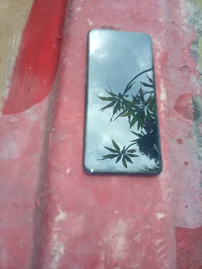 OPPO F19